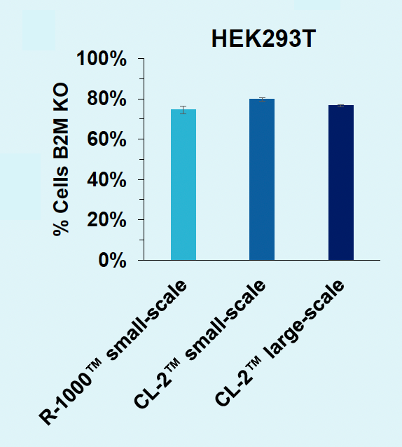 Bar graph represents consistent percentage of disrupted B2M cells across MaxCyte PAs