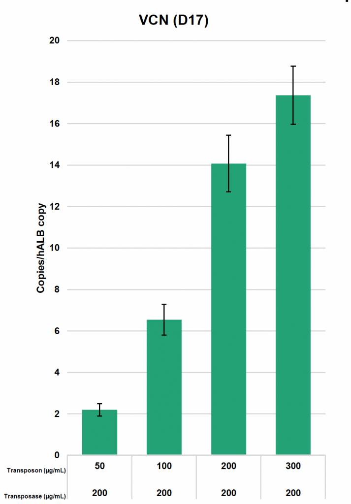 Bar graph depicts vector copy number, or integrated transposon copy numbers, at day 17.