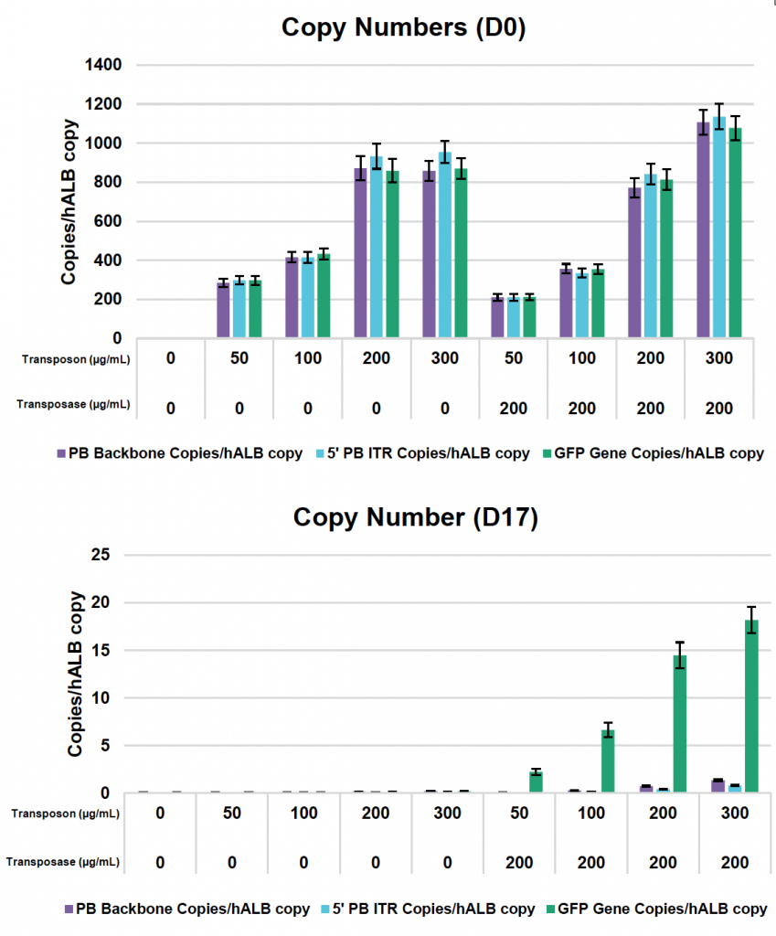 Two bar graphs illustrate absolute copy numbers at day 0 post EP (top) and at day 17 (bottom).