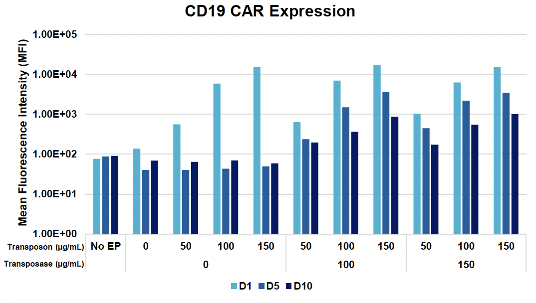 Bar graph shows CD19 CAR expression at days 1, 5 and 10 post EP.
