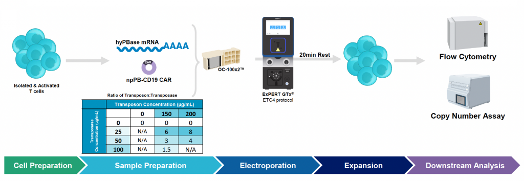 PO-optimizing-transposon-based-gene-delivery_fig-3a