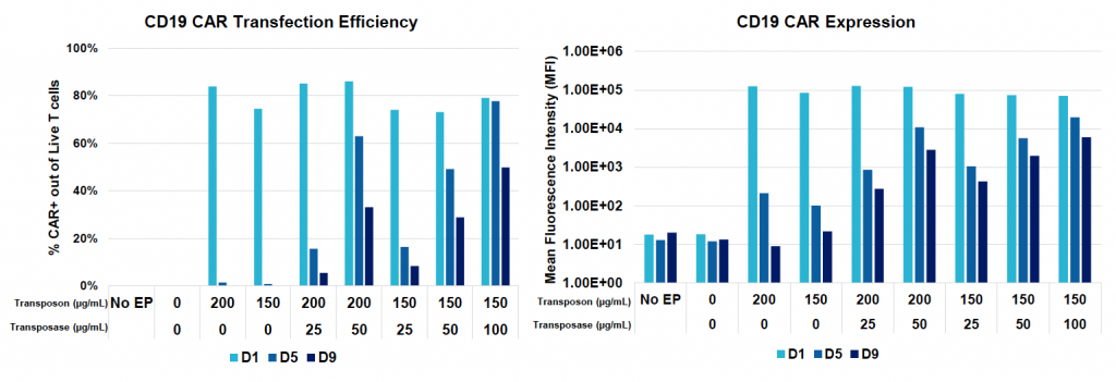 Two bar graphs show CD19 CAR transfection efficiency (left) and (right)