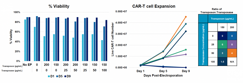 Three illustrations, right to left: (1) bar graph depicts cell viability at days 1, 5 and 9 post EP; (2) line graph depicts CAR T cell expansion over time; (3) table indicates high ratio of transposon to transposase