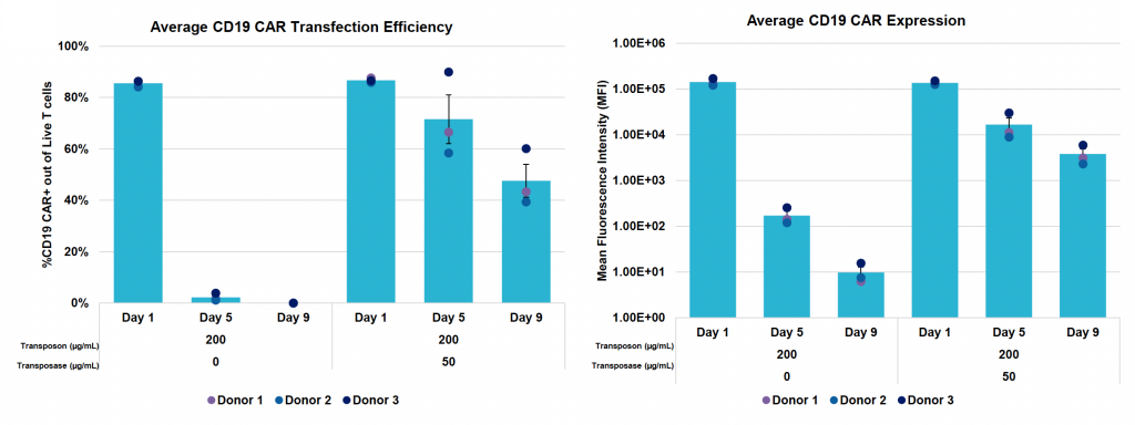Two bar graphs: left shows average CD19 CAR transfection efficiency for three donors and right shows expression for days 1, 5 and 9 post EP.
