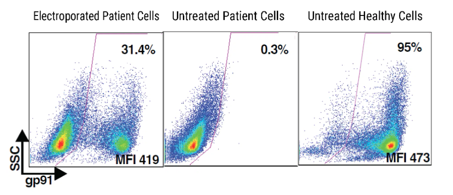 Heat maps of restored gp91 expression in differentiated myeloid cells