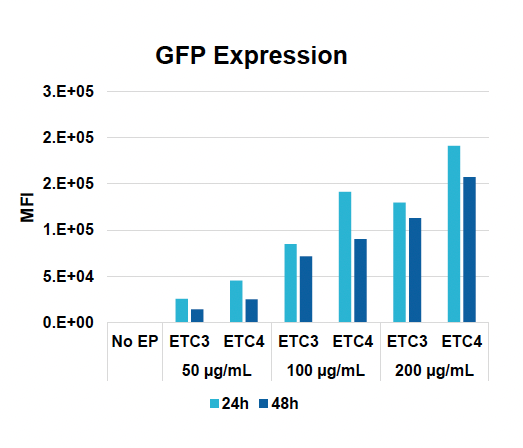 Bar graph illustrates ​>between 0.E+00 and 5.E+04 M​FI at 24 hours post electroporation, across EP protocols and plasmid amounts​, and ​s​lightly lower at 48 hours.​ Also shows steady increase of MFI with greater plasmid amounts.