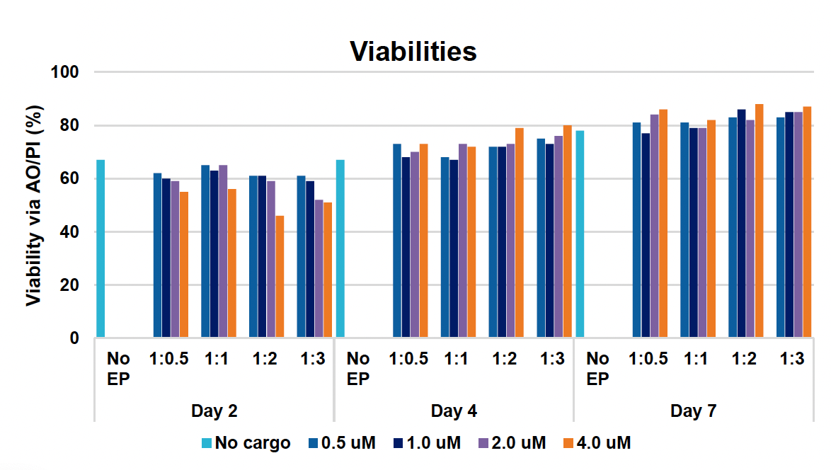 The bar graph ​illustrates ​c​ell viabilities (expressed as a percentage via AO/PI) ​at three time points under various conditions of cargo concentration and different ratios of Cas9 and sgRNA, generally increasing over time from​ across most conditions​.​