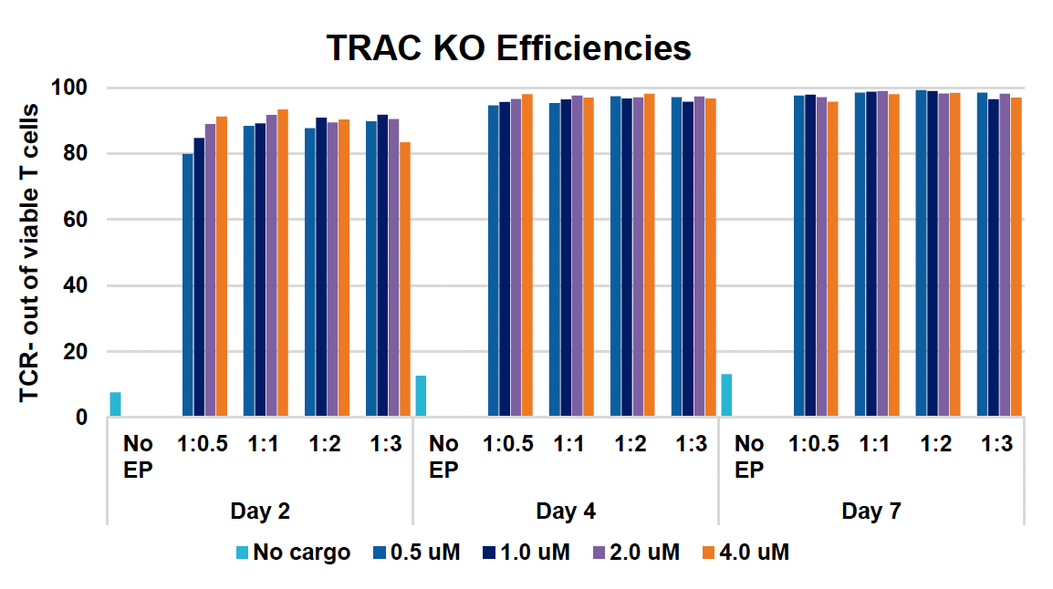 ​B​ar graph​ shows TRAC knockout efficiencies in viable T cells ​a​t three time points across varying cargo concentrations and ​E​P conditions, with efficiencies generally trending higher with higher concentrations and later time points.