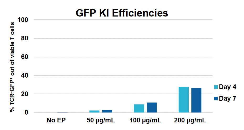 ​Bar graph illustrates increasing GFP ​k​nockin efficiencies, measured as ​% TCR-GFP+ out of viable T cells, with higher concentrations of ​p​lasmid HDRT compared to ​n​o EP, with slightly higher efficiencies ​a​t later time point for each concentration condition.