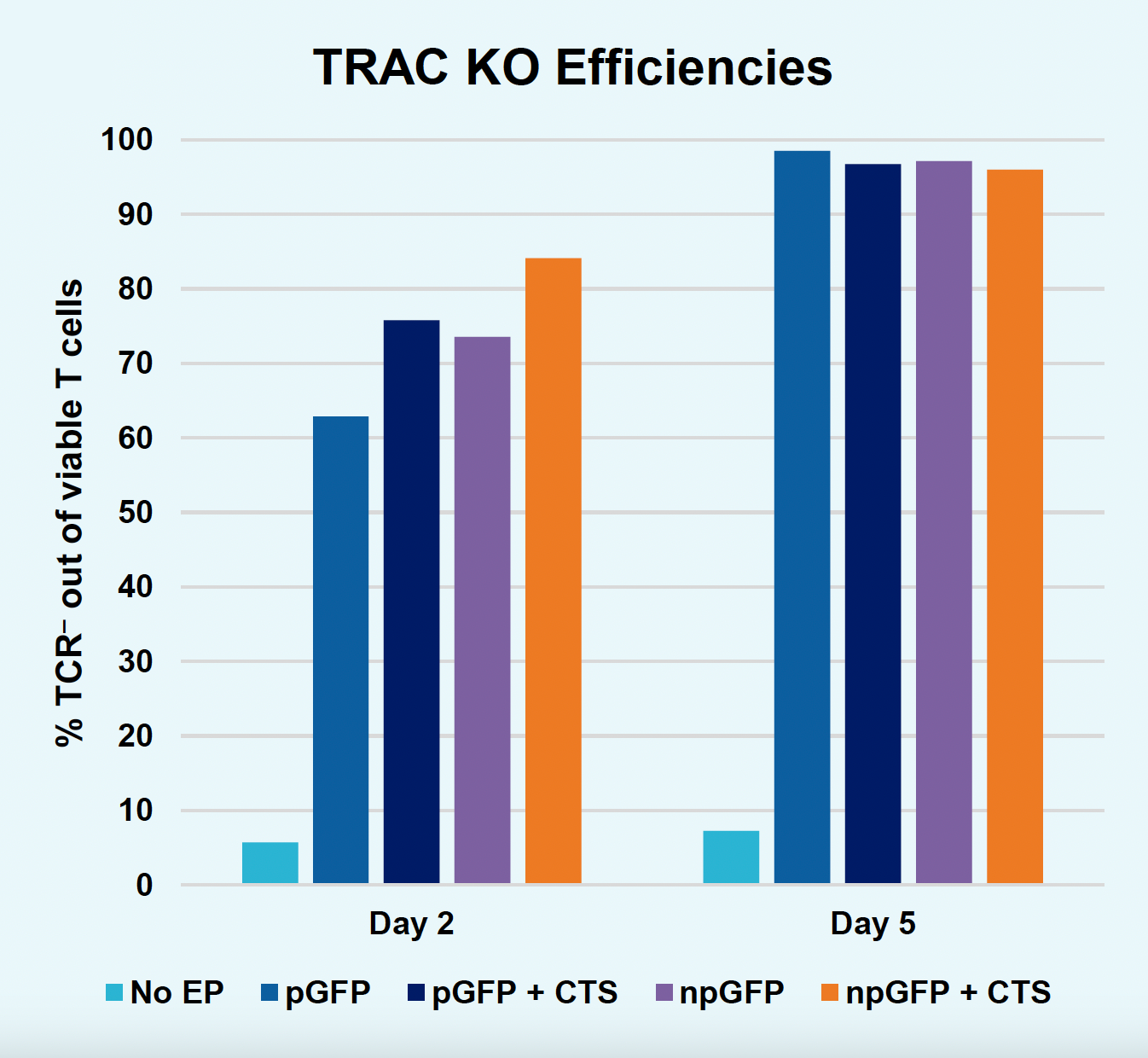 The ​bar graph illustrates TRAC knockout​ efficiency in​ viable T cells under various experimental conditions ​a​t two time points, as measured by the percentage of TCR-negative ​T cells, with efficiencies >95% by the later time point.