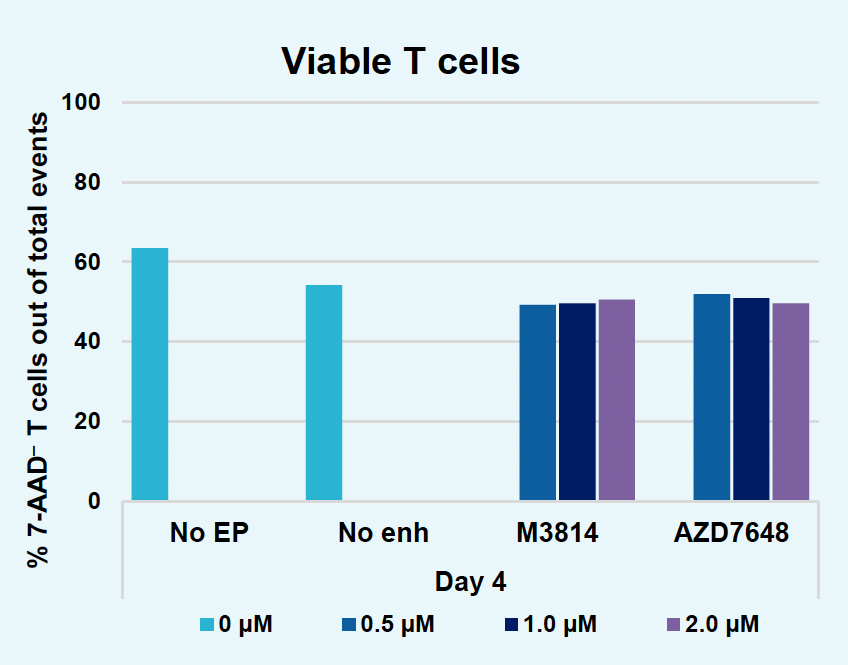 ​B​ar graph illustrates ​close ​to 50 percent of viable T cells ​a​t one time point with enhancers ​at different concentrations compared to without enhancers and without EP, both of which yielded a higher percentage of viable cells (>55%).