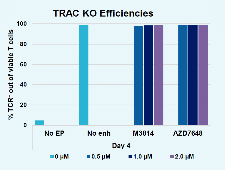 Bar graph illustrates nearly 100% efficiency of TCR- viable T cells at one time point with and without enhancers at all concentrations tested, by contrast to only 5% efficency for control condition (no EP).
