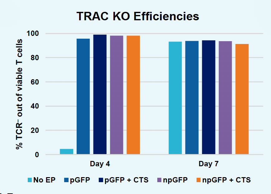 ​B​ar graph illustrates consistent >90% TRAC gene knockout​ efficiency in T cells at​ two time points over one week​ for all experimental conditions compared to control.