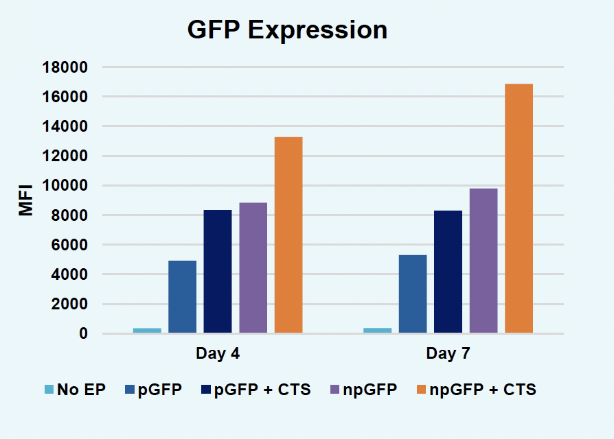 ​Bar graph​ shows npGFP + CTS consistently yielding the highest GFP expression at both time points, and higher expression levels in general on day seven.