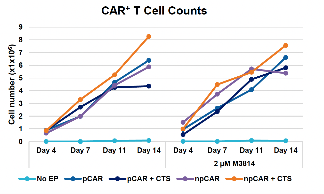 In this line graph, all conditions, minus the control, show an increase in CAR+ T cell counts over time, with npCAR + CTS consistently demonstrating the highest cell counts in both the absence and presence of M3814.