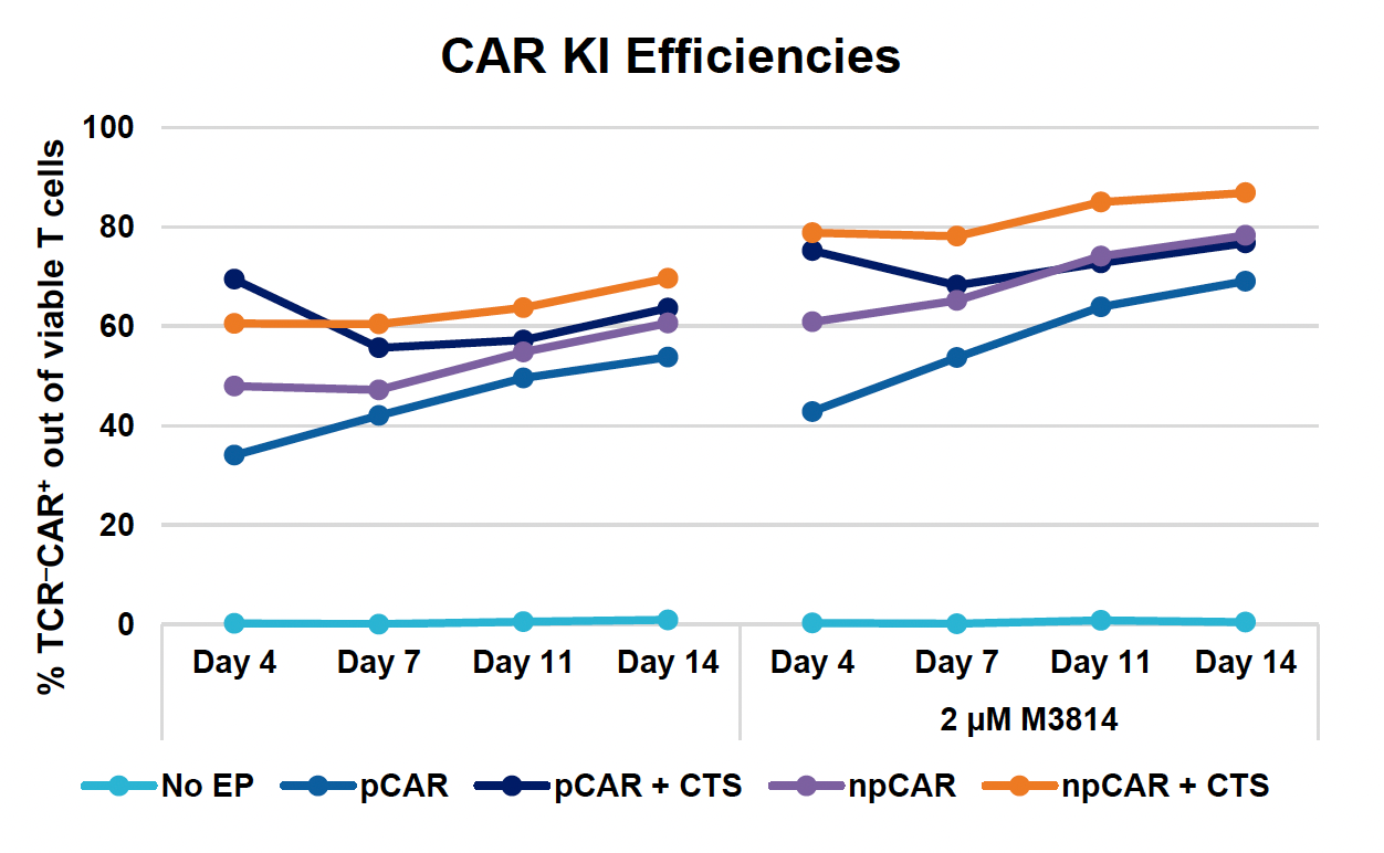 This line graph demonstrates generally higher and increasing CAR knockin efficiencies in the presence of CTS, especially in the presence of M3814, across time points.