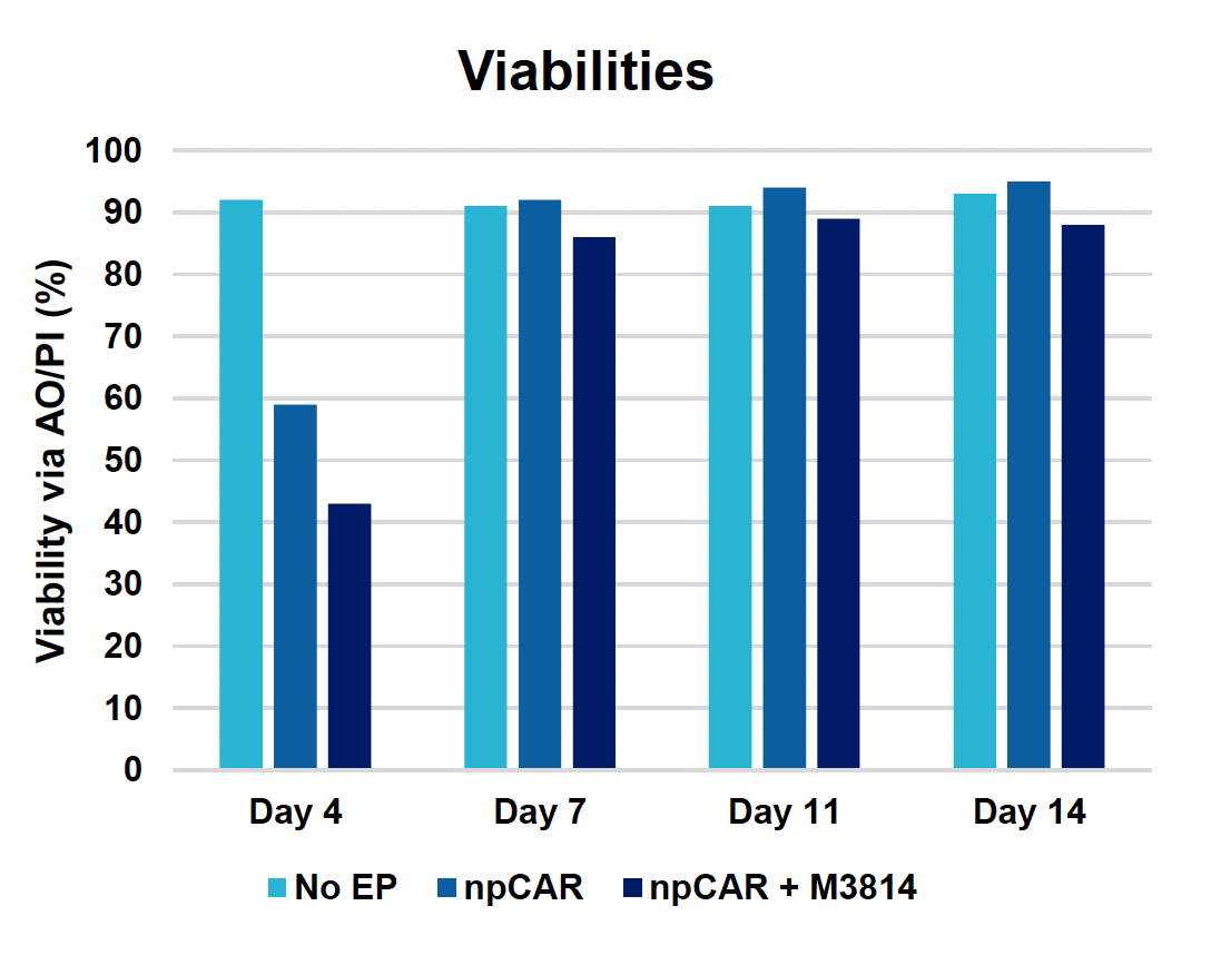 Bar graph shows cell viability (via AO/PI%) under three different conditions over 14 days, with npCAR maintaining highest, above 90%, at four time points.