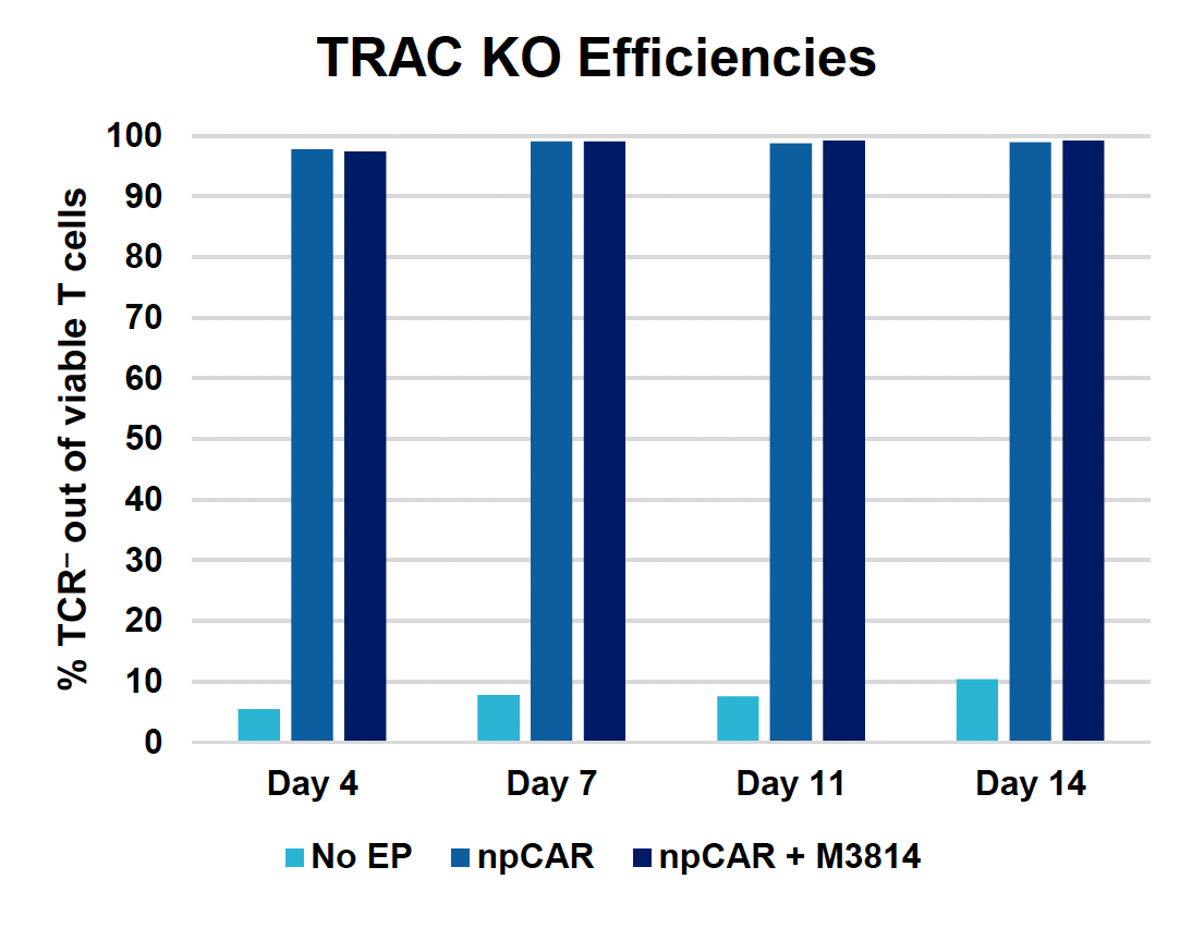 Bar chart indicates that both npCAR and npCAR + M3814 conditions consistently achieved near 100% TRAC KO efficiency over two-week period compared to control, which was under 10%.