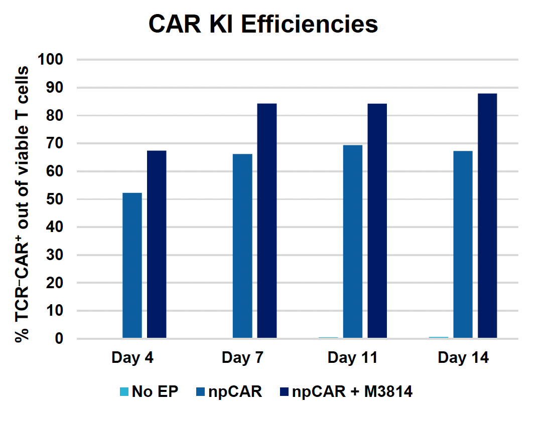 Bar graph shows CAR knockin efficiency, measured as % TCR-CAR+ cells, generally increases over time for all conditions, with npCAR + M3814 consistently demonstrating the highest efficiency across all measured time points in two weeks.