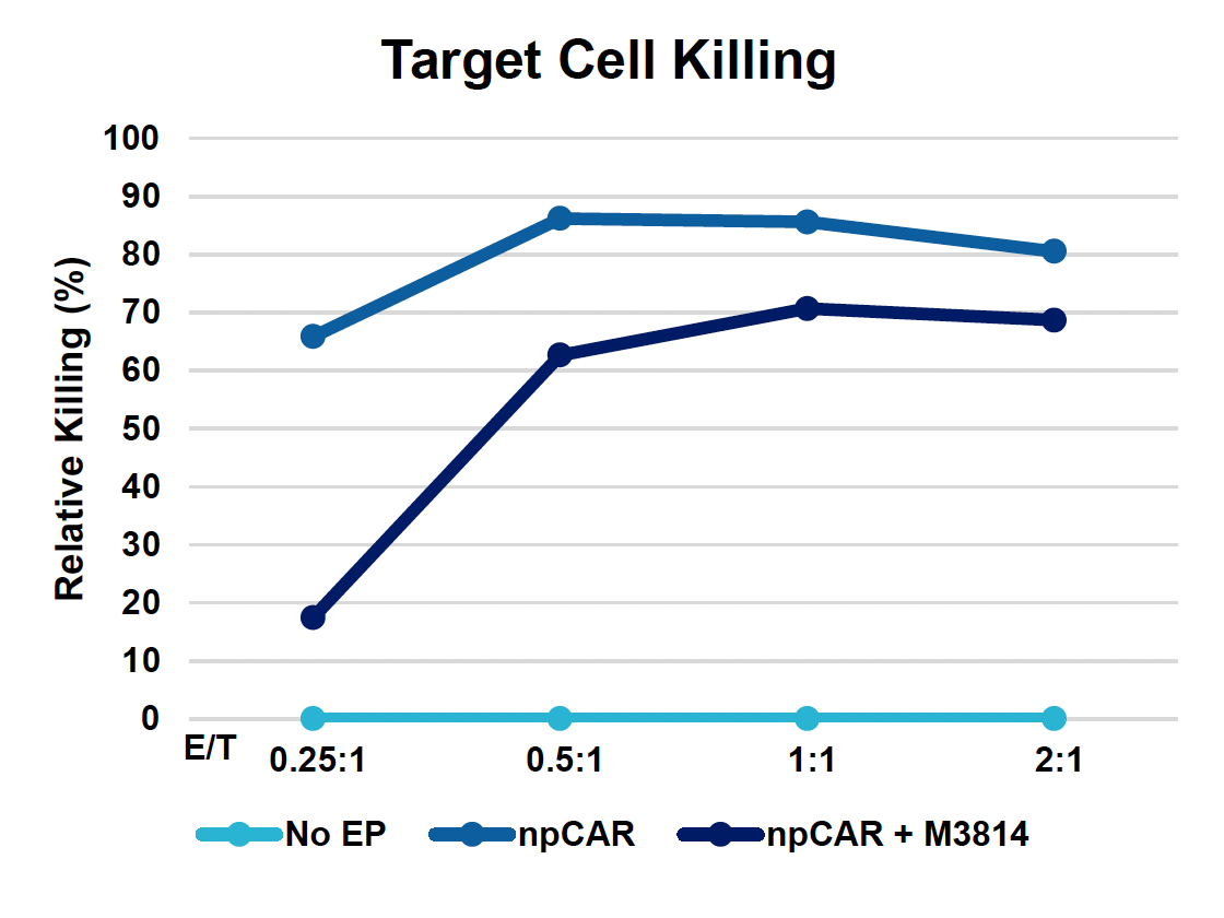 This graph shows that npCAR consistently yields the highest relative killing percentage, significantly outperforming the M3814 condition, especially at lower E/T ratios, and maintaining high killing efficiency across all tested ratios.