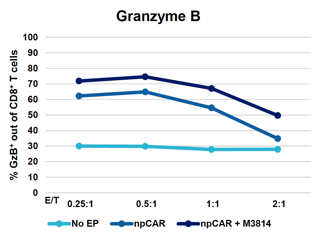 Bar graph illustrates how Granzyme B expression, measured via % GzB+ in CD8+ T cells, changes with increasing E/T ratios under three experimental conditions, with npCAR +M3814 remaining the highest.