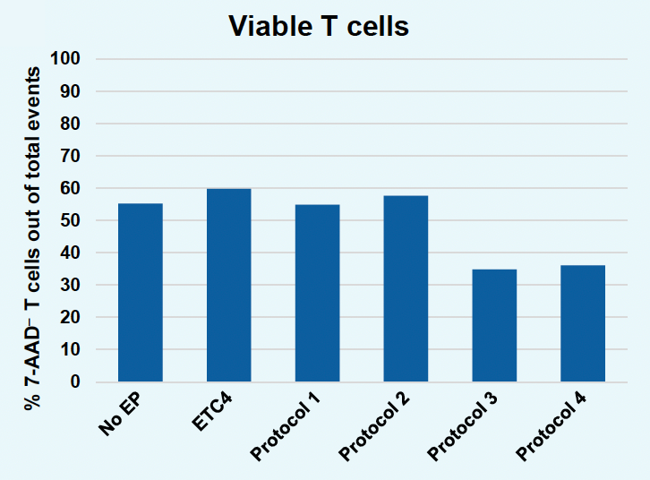 Bar graph illustrates ​higher percentage of 7-AAD- T cells out of total events​, or greater viability, for ETC4 and EP protocols one and two compared to the other two protocols, which show notable decrease.