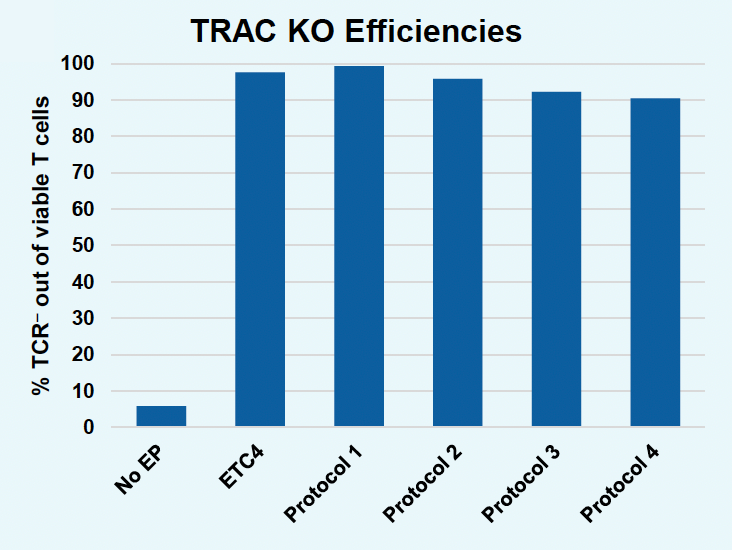 Bar graph demonstrates significantly higher TRAC KO efficiencies for protocols 1-4 demonstrate, consistently achieving over 90% TCR-negative viable T cells, compared to no EP.